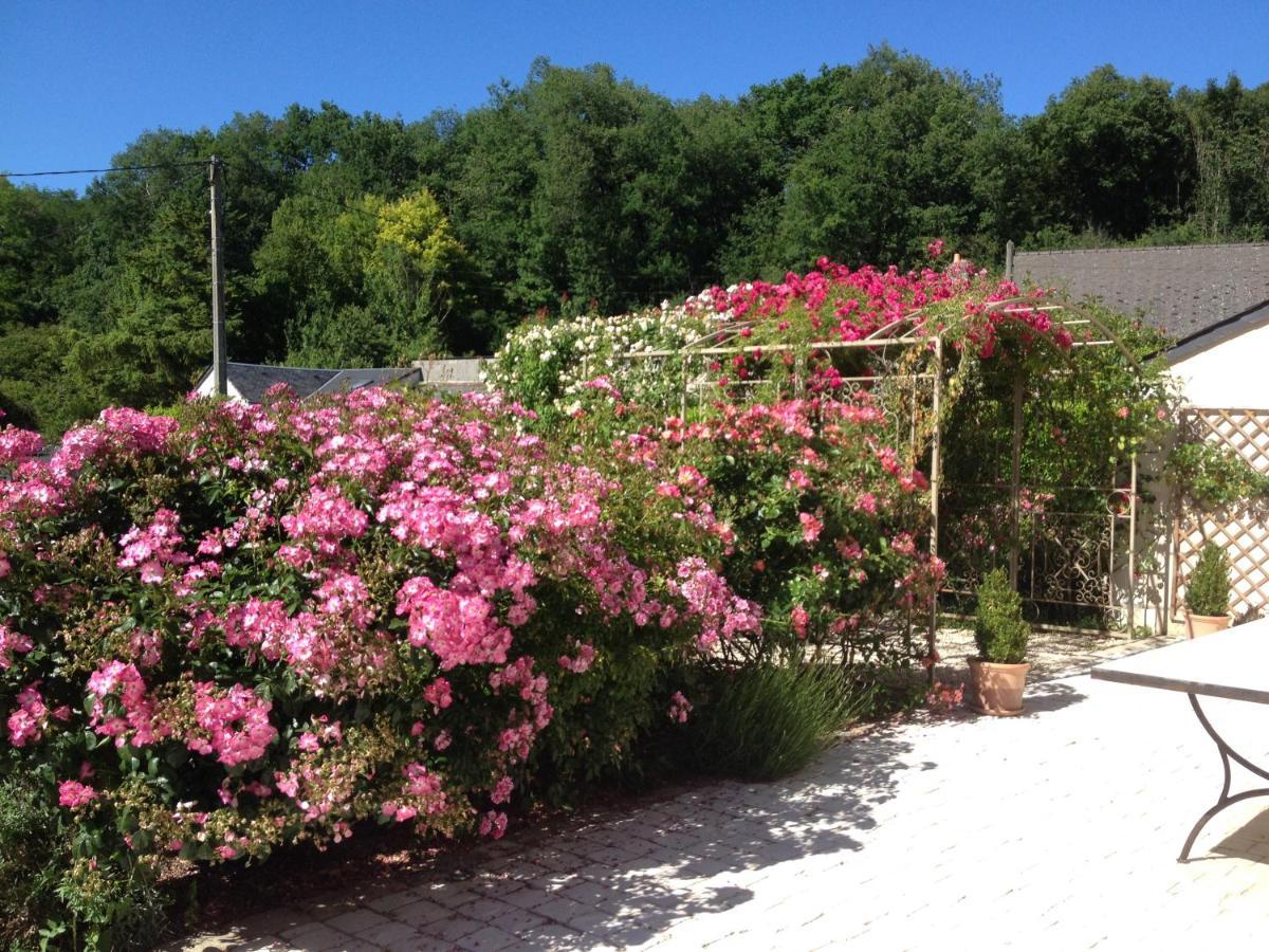La Des Dames *